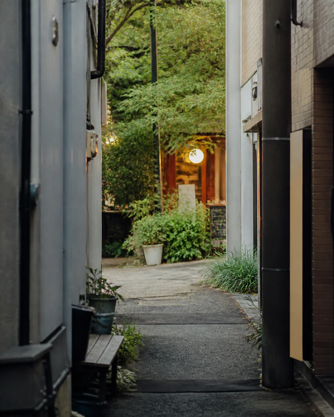 建物の間から緑と小さな灯りが見える路地