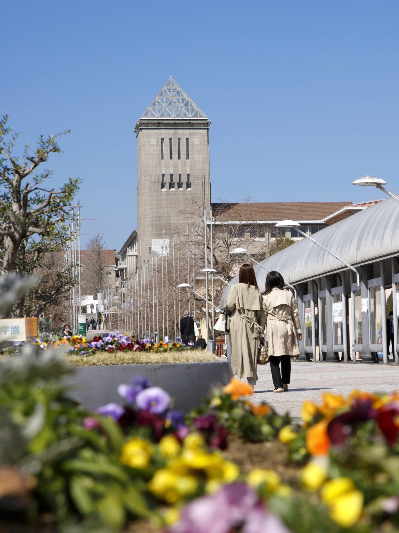 南大沢遊歩道と東京都立大学の風景