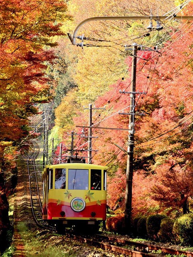 秋の高尾山とケーブルカーの風景