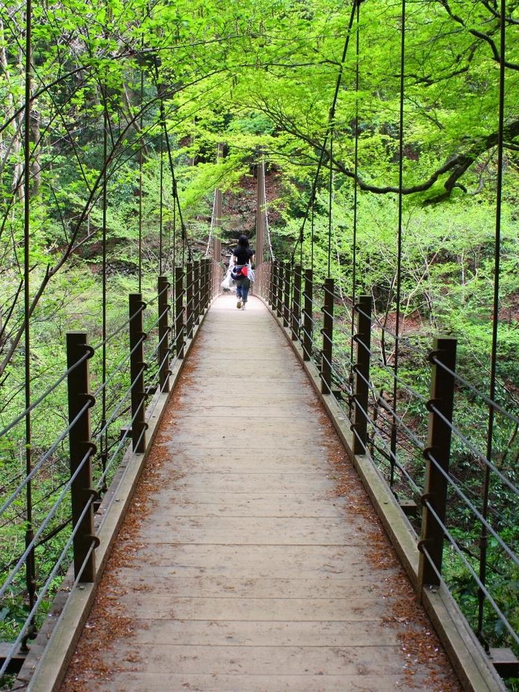 高尾山4号路つり橋の風景